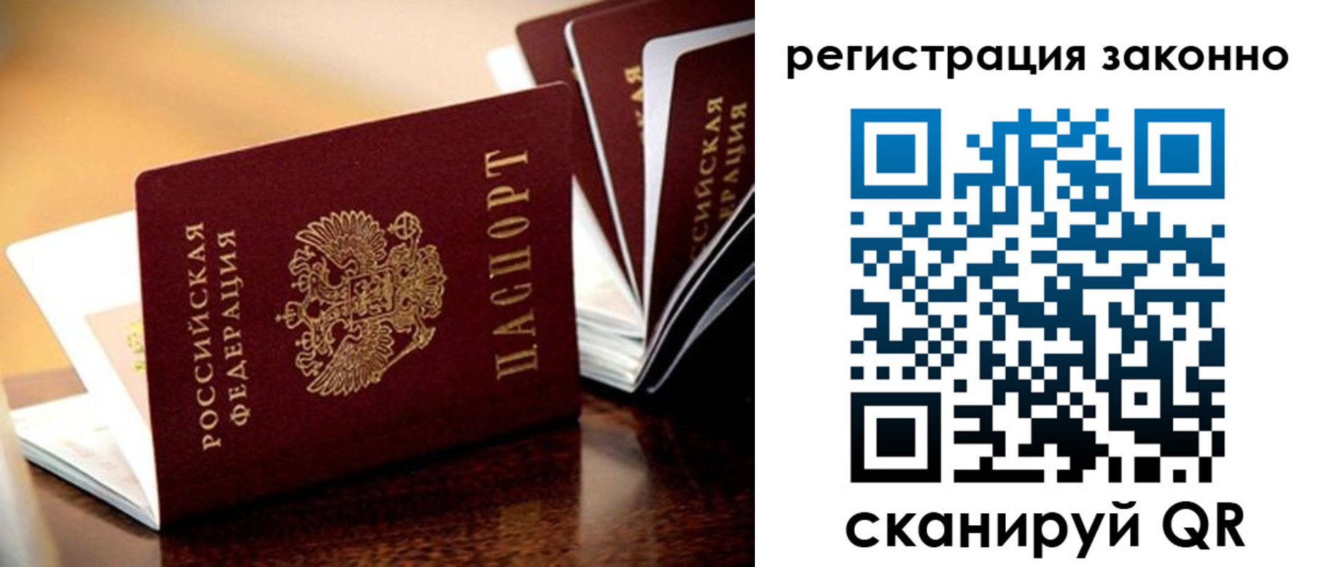 прописка для школы в Белой Холунице